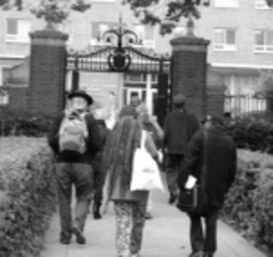 Hey Occupy, Where are the African American Students?