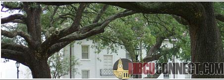 read this dillardites