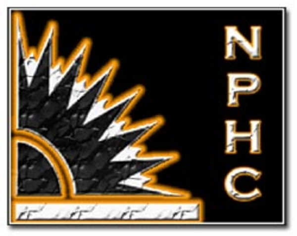 NATIONAL PAN-HELLENIC COUNCIL PARTNERS WITH ST. JUDE CHILDREN