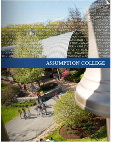 Assumption College is seeking Faculty Members to teach Science and Technology Courses.
