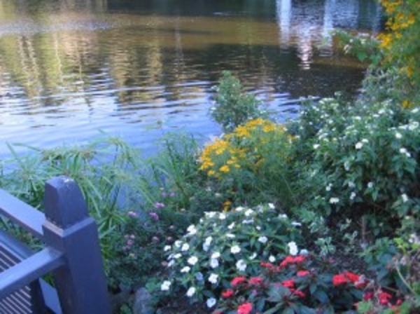 Behind Stress and Worry Is Your True Power