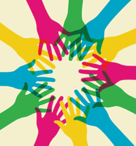 Director of Programs & Education