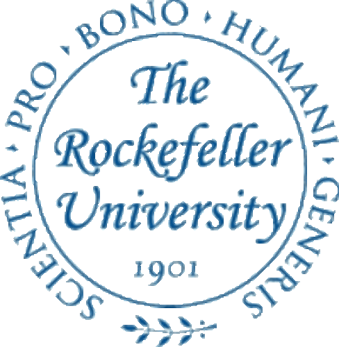 FACULTY POSITIONS AT THE ROCKEFELLER UNIVERSITY