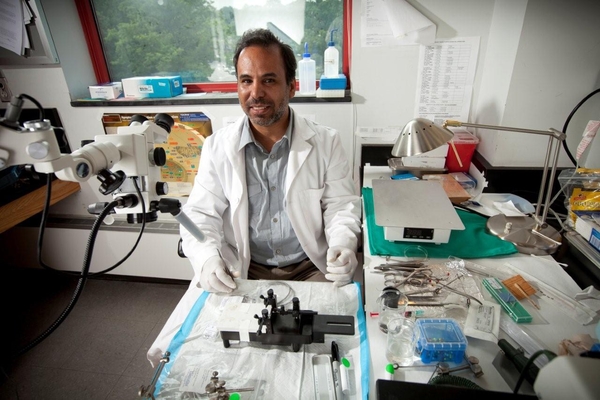 College Laboratory Technician in Media Culture needed at The College of Staten Island.