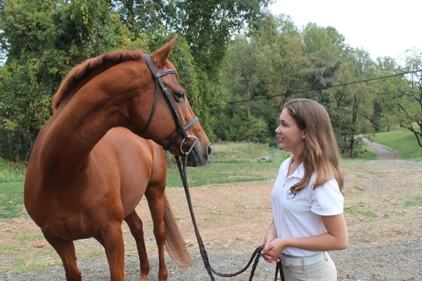 Apply to be hired as the Program Manager for The Madeira School!