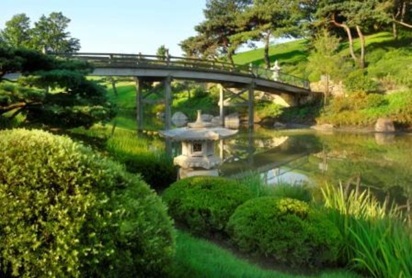 Apply now to the Chicago Botanic Garden CLM and REU Internship Programs!