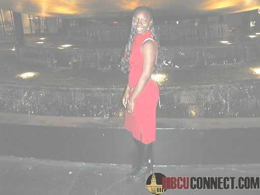 Get Rich or Die Tryin