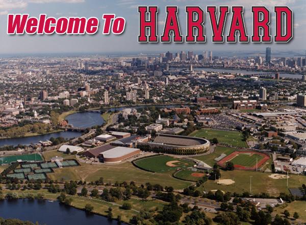 Harvard University Job Opening: Director of Alumni Relations and Publications 