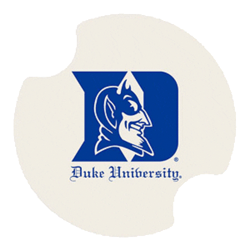 Duke University Job Opening: Web Developer