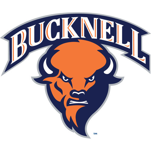 Bucknell University Job Opening: Tenure Track, Chinese Language & Culture, open rank