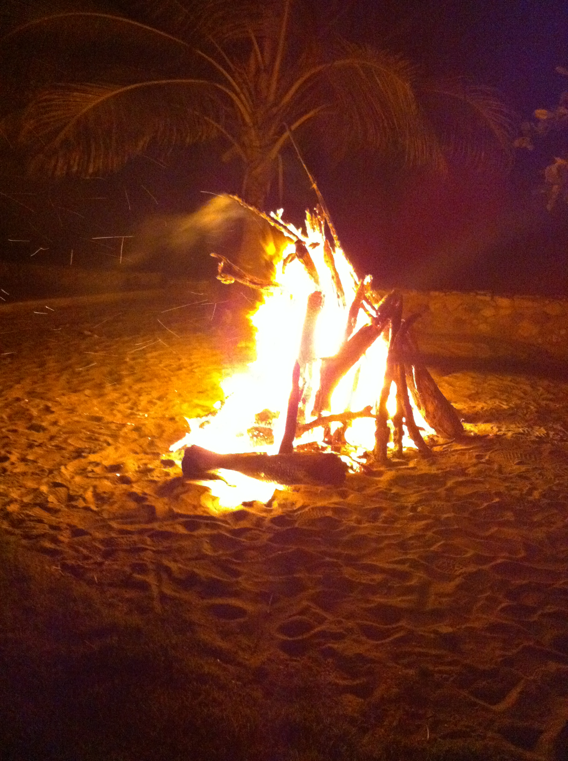 My Featured Alumni Photo