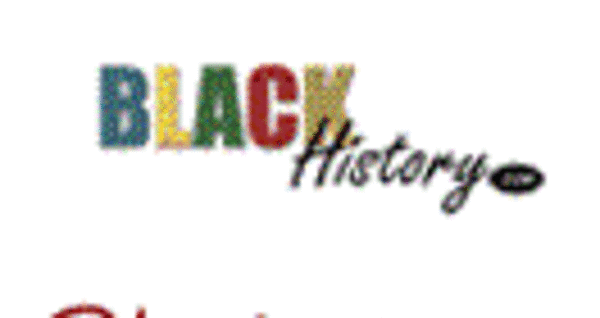 Apply today to become a BlackHistory.com Website Development Intern!