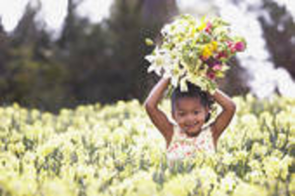 CENTER PEACES:  11.25.2013