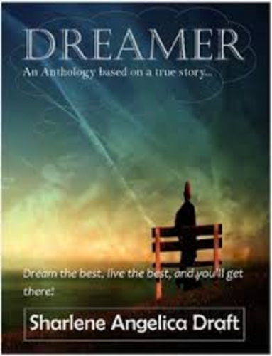 Dreamer, The end of a new beginning