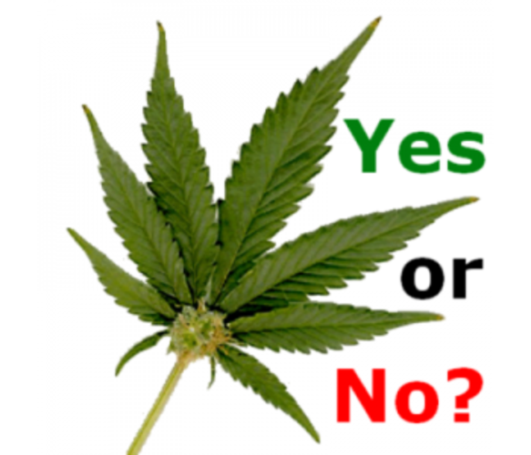 HBCU to Consider The Legalization of Marijuana