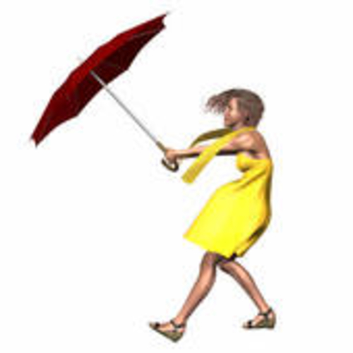 SUNDAY BLOGS FROM MIISRAEL:  Sunday,  June 08, 2014