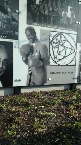 Cause for Celebration