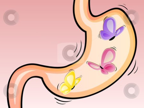 Everyone Has Butterflies - Make Yours Fly In Formation