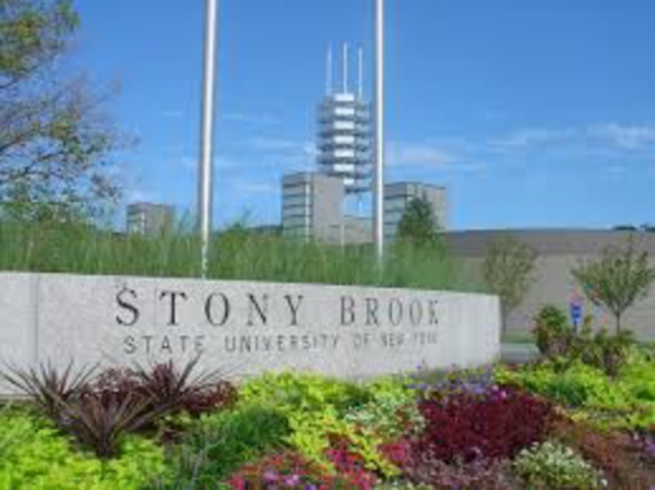 Stony Brook University career opening: Assistant Professor