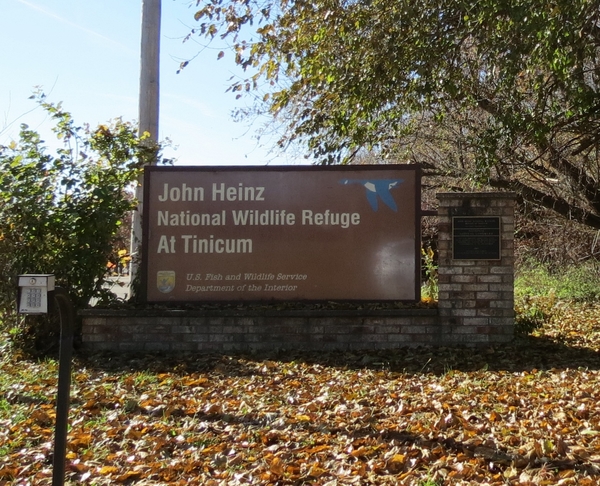 Adam Fofana Helps Out at Heinz Refuge