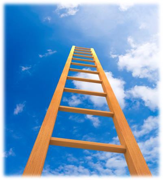 Rams Blog: Moving Up the Ladder