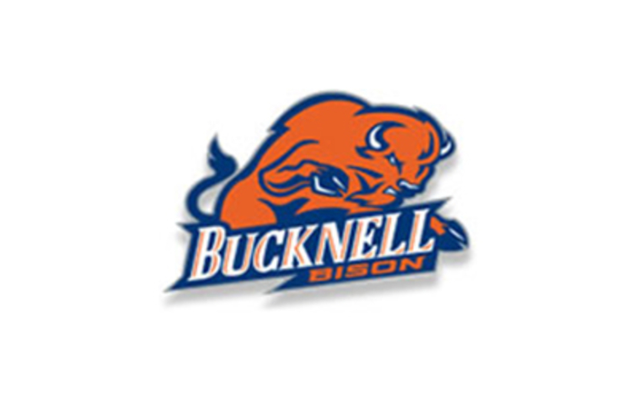 Bucknell University seeks to hire an Investment Analyst.