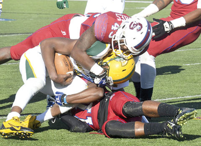 MEAC suspends 21 players after Norfolk St.-South Carolina St. brawl