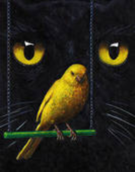 SUNDAY BLOGS FROM MIISRAEL:  Sunday, November 30, 2014