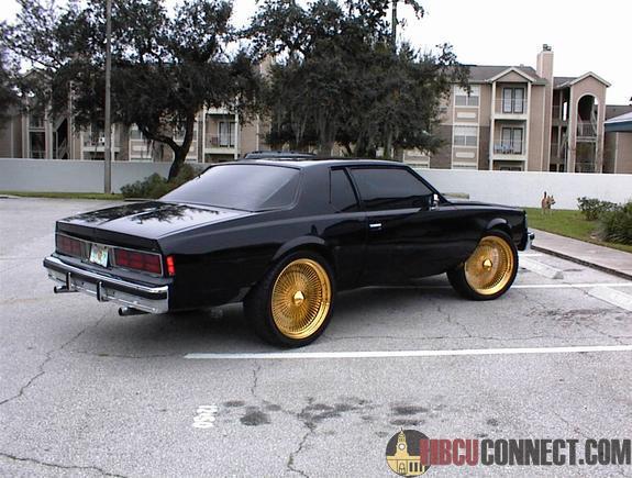 MAN SPRING BREAK WENT 2 FAST