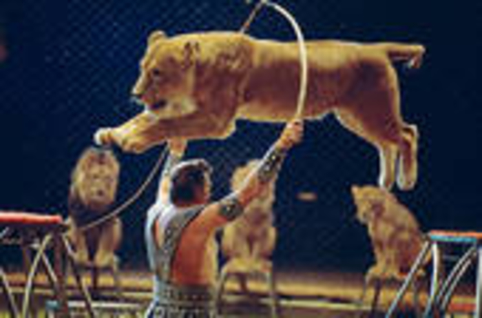 SUNDAY BLOGS FROM MIISRAEL:  Sunday,  December 28, 2014