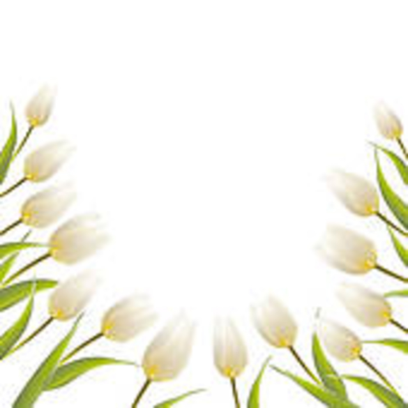 SUNDAY BLOGS FROM MIISRAEL:  Sunday, March 22, 2015