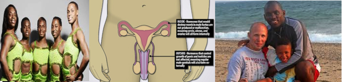 Gay / Transgender / Homosexual