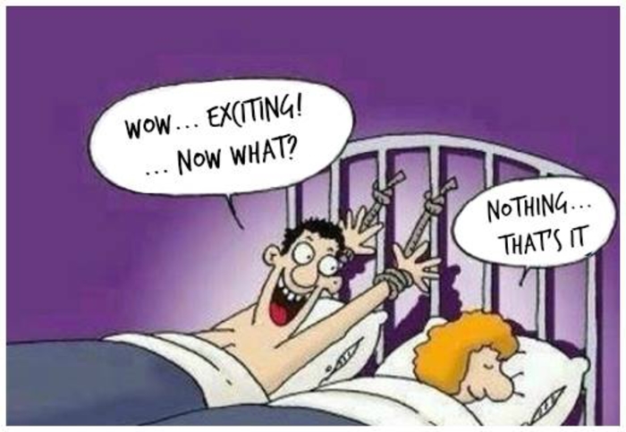  The Silk Purse Conspiracy 