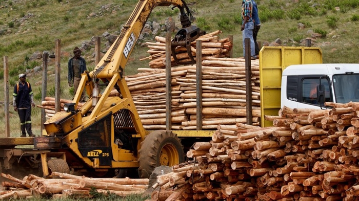 Colombia�s Unemployment Rate Falls to Lowest Ever 8.9%