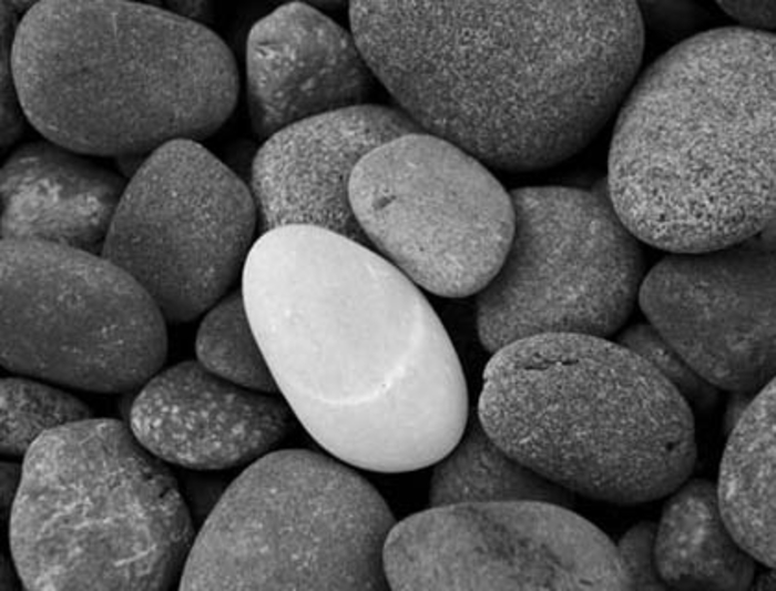 #LeadershipTuesdays: Ways Of Dealing With Differences...Mary Parker Follett