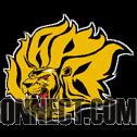 UAPB GOLDEN LIONS!!!