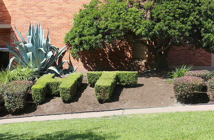  Huston-Tillotson University Receives Grant from the National Science Foundation (NSF) to Support STEM Efforts