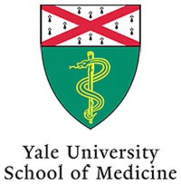 ELITE JOB: YALE FACULTY FELLOWSHIP IN ADDICTIONS, TREATMENT DEVELOPMENT RESEARCH