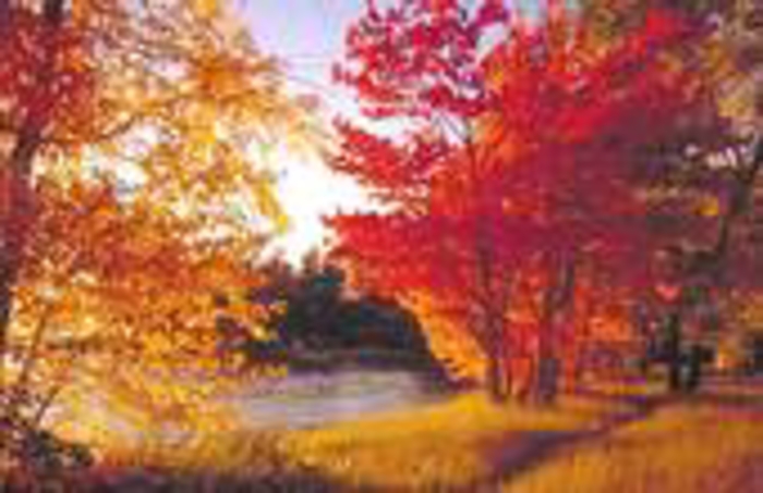 SUNDAY BLOGS FROM MIISRAEL: Sunday, October 11, 2015