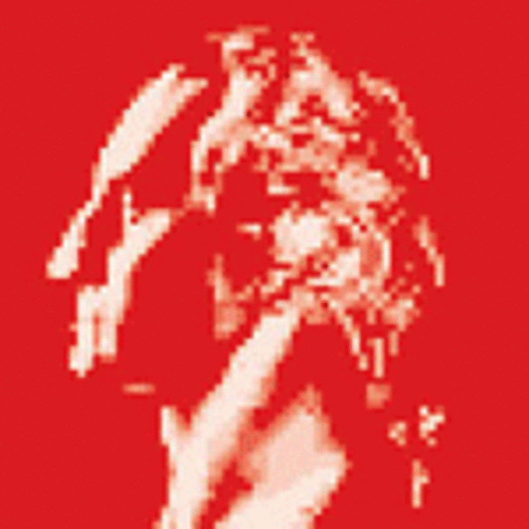 Apply for PAID, Federal Government Internships with the Federal Diversity Internship Initiative!