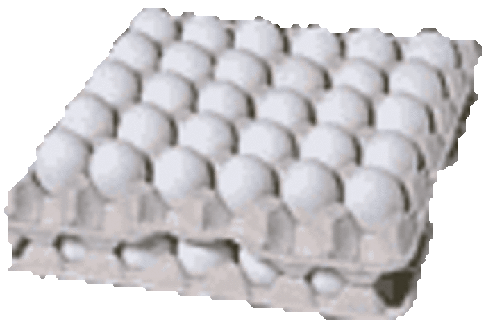 "Fowlest Jokes Of The Month"