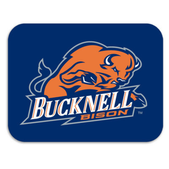 Become the new Director of Jewish Life for Bucknell University!