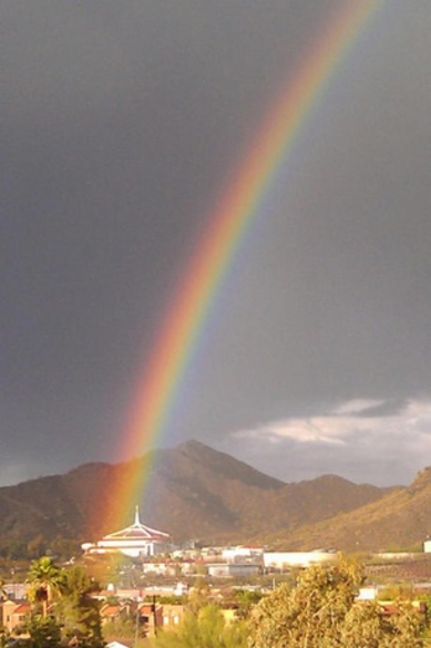 BLACK ADVOCATE COACHES YOU  BEFORE YOU GET "BAMBOOZLED" AT DEALERSHIP ! ! ! 