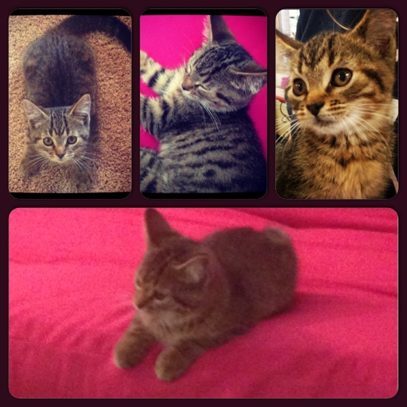 My New Graduate School Roommate