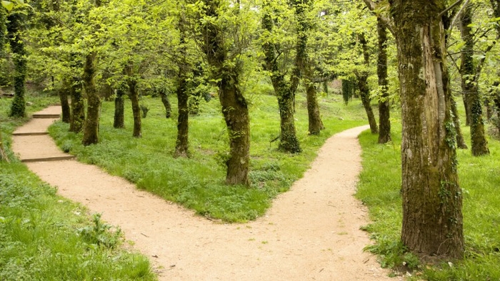 Post-Academic Careers