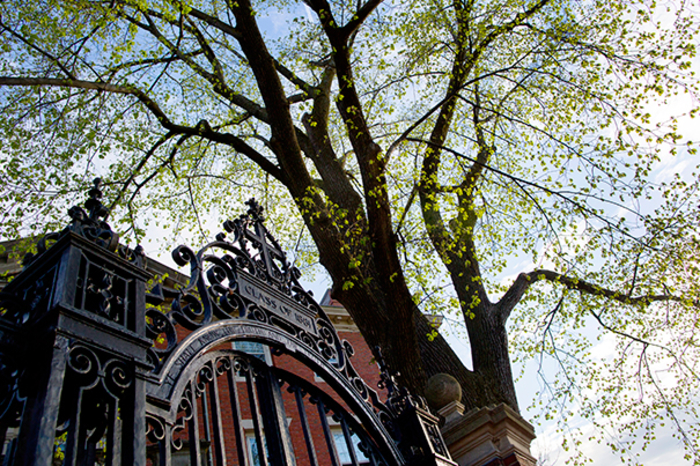 Yield remains high for Class of 2020