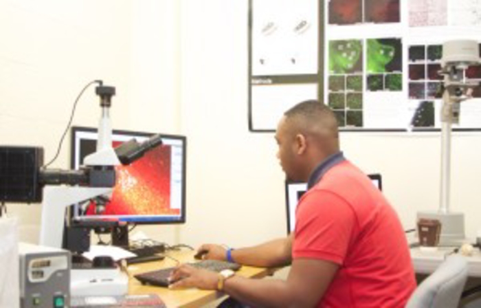 Statistics Show Promising Future for Psychology Majors