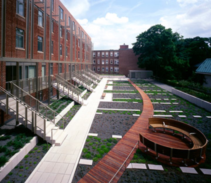 Finding a Place to Live at Harvard University