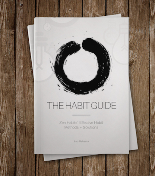 The Habit Guide Ebook: My Most Effective Habit Methods & Solutions