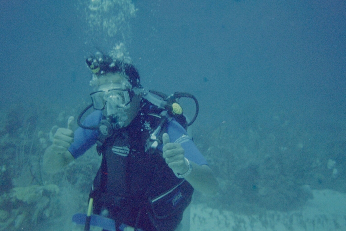 Bottom of the Caribbean Sea 